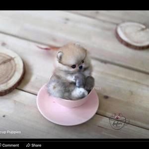 Meet your Posher, Kimberly